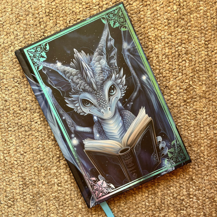 Azurewing Hardcover Reading Journal Book Box Celine Jeanjean Books