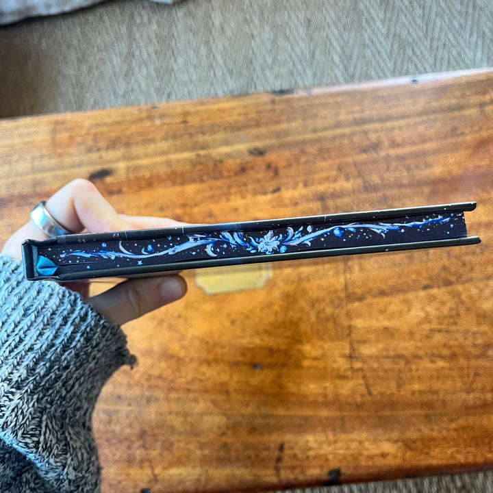 Book Dragon - Dual set of reading journals Celine Jeanjean Books