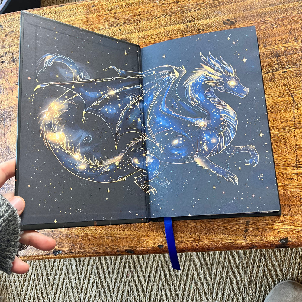 Book Dragon - Dual set of reading journals Celine Jeanjean Books